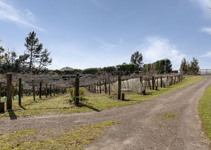  at 1164 No 3 Road, Te Puke, Western Bay Of Plenty, Bay Of Plenty