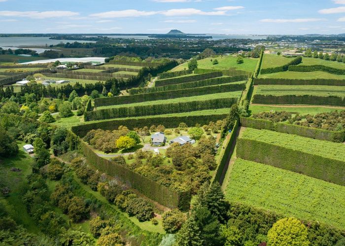  at 86B PAHOIA ROAD, Western Bay Of Plenty