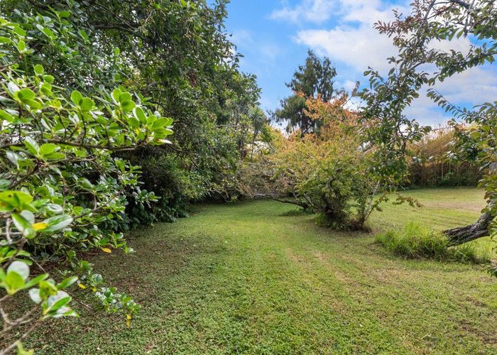  at 59 Seabrook Avenue, New Lynn, Waitakere City, Auckland