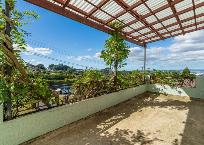  at 19 Hendry Avenue, Hillsborough, Auckland