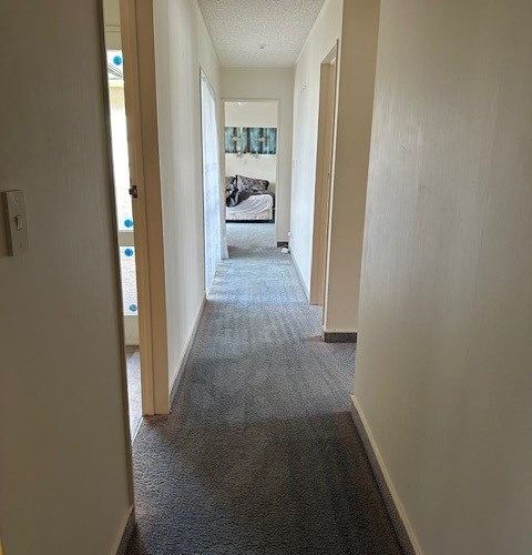  at 104 Rimu Road, Raumati Beach, Paraparaumu