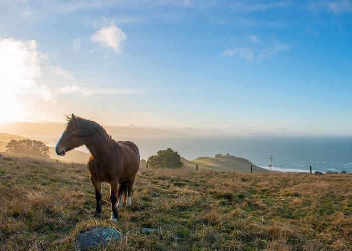  at 378 Heyward Point Road, Heyward Point, Port Chalmers