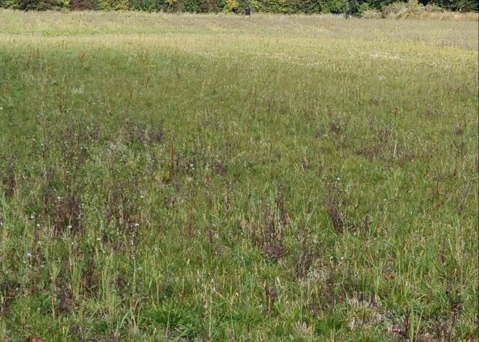  at 0 Richard Road, Alma, Oamaru