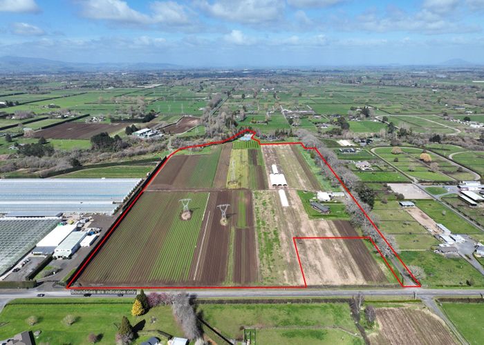 For sale | 473 Bruntwood Road, Tamahere, Waikato, Waikato - homes.co.nz