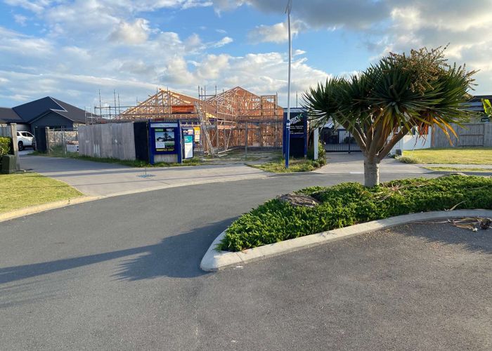  at 53 Cotula Way, Papamoa Beach, Tauranga, Bay Of Plenty