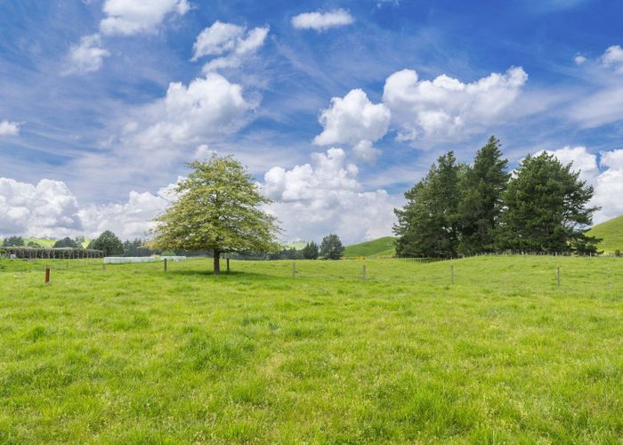  at 156 and 176 (4 lots) Link Road, Wairakei, Taupo, Waikato