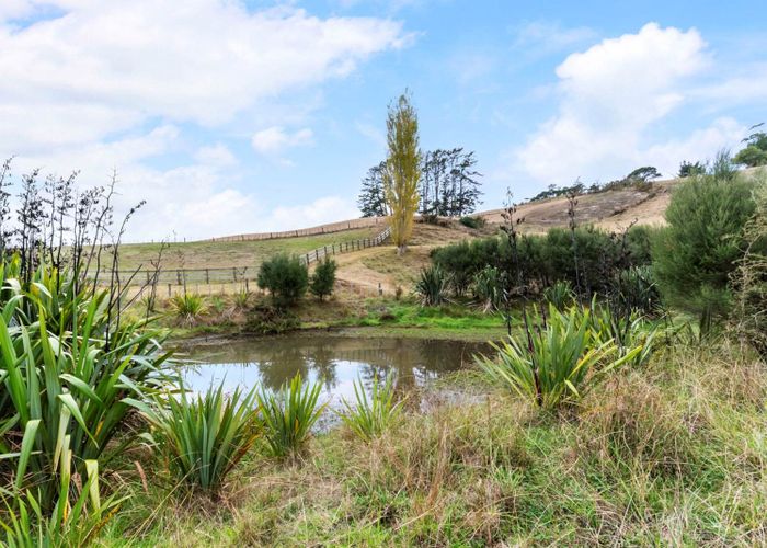  at 8 Pinestead Reach, Stillwater, Rodney, Auckland