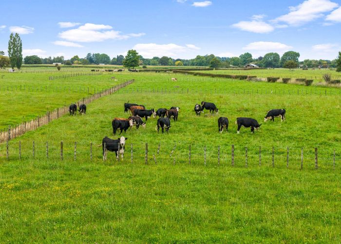  at 493 Horotiu Road, Te Kowhai, Waikato, Waikato