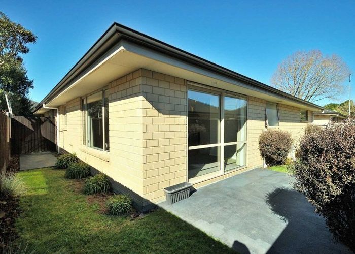  at 50 Thackeray Place, Waltham, Christchurch City, Canterbury