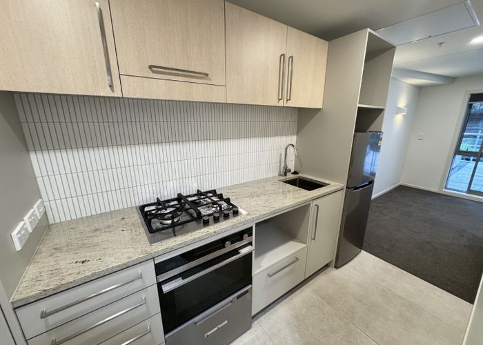  at 117/4 Wagener Place, Mount Albert, Auckland City, Auckland