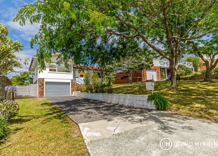  at 20 Agincourt Street, Glenfield, North Shore City, Auckland