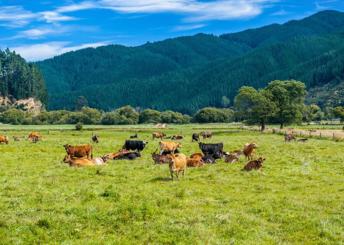  at State Highway 1, Koromiko, Marlborough, Marlborough