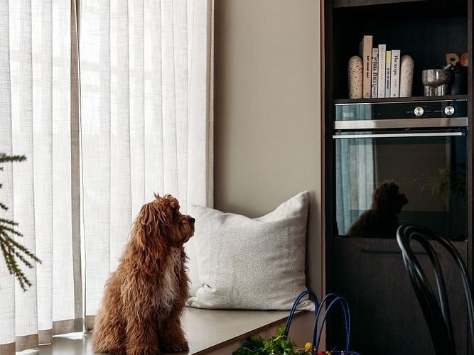  at Te Aro, Wellington, Wellington