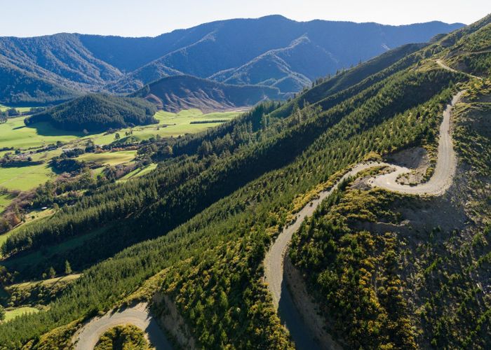  at Kaiuma Bay Road, Havelock, Marlborough, Marlborough