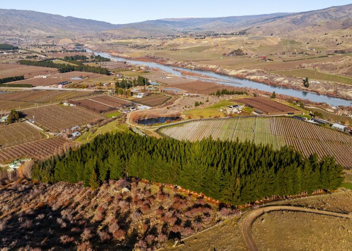  at Lot 1 & 5 Ripponvale Road, Cromwell, Central Otago, Otago