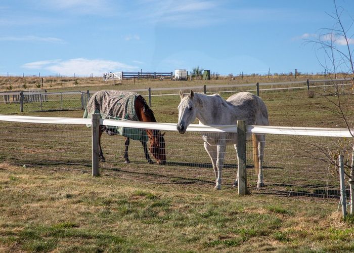  at 239 Nelsen Ridge Road, Alexandra, Central Otago, Otago