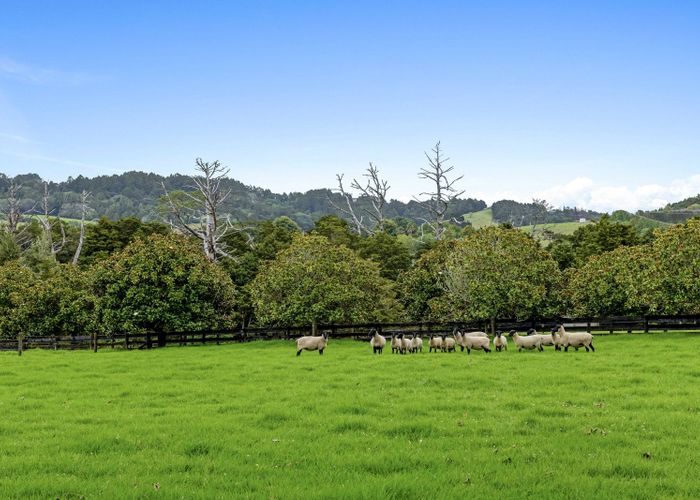  at 23 Rosemount Road, Matakana, Rodney, Auckland