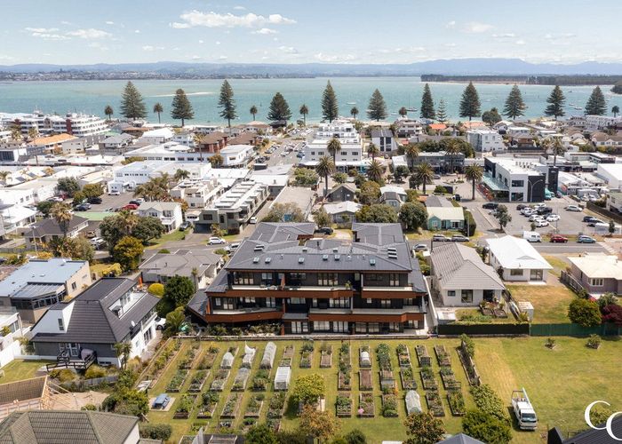  at 29C May Street, Mount Maunganui, Tauranga, Bay Of Plenty