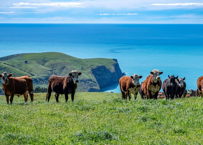  at 689 Le Bons Bay Road, Akaroa, Banks Peninsula, Canterbury