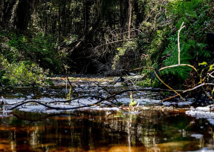  at Lots 1 - 6 Sanctuary Place, Kumara Junction, Westland, West Coast