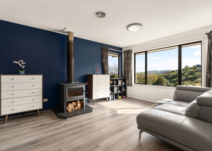 at 206 Somerville Street, Shiel Hill, Dunedin