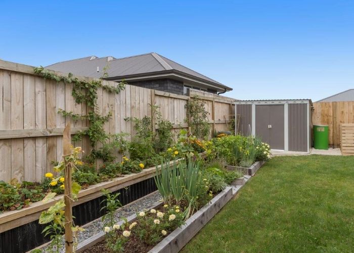  at 64 Te Ranga Memorial Drive, Pyes Pa, Tauranga