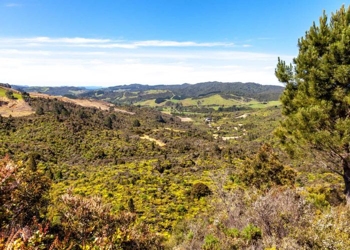  at 156E Silverstream Falls Row, Whenuakite