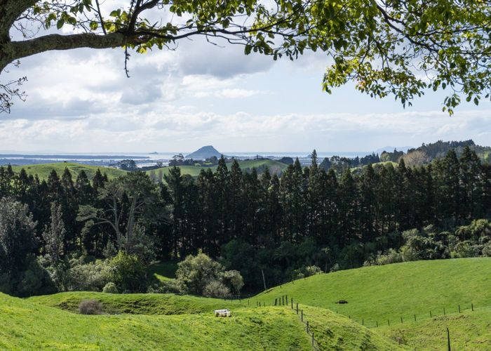  at 669C Kaitemako Road, Welcome Bay, Tauranga