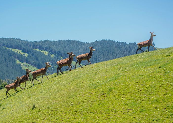  at 154A Akatarawa Road, Reikorangi