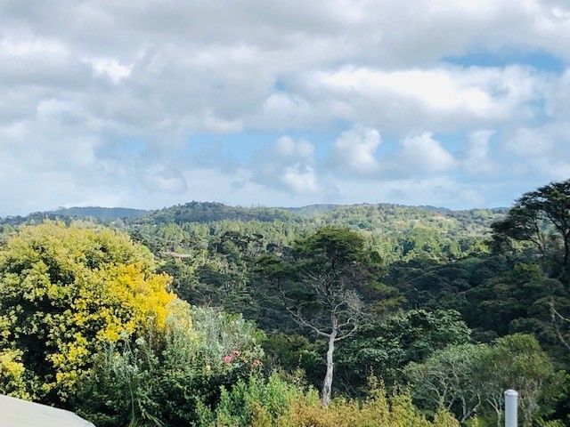  at 51 Tainui Road, Titirangi, Auckland