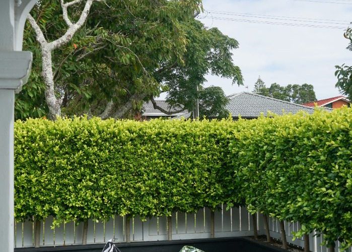  at 115 Victoria Street, Onehunga, Auckland City, Auckland