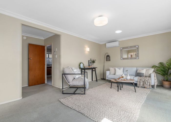  at 19A Tupaea Place, Otumoetai, Tauranga