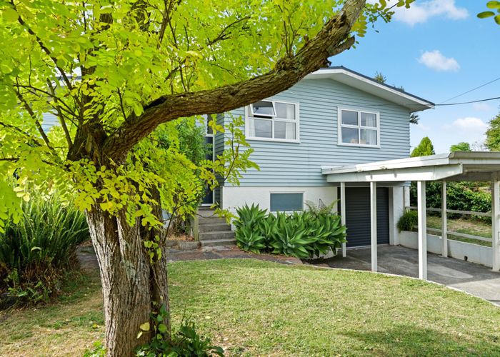  at 20 Patrick Place, Fitzroy, Hamilton