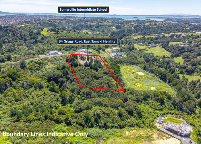  at 84 Griggs Road, East Tamaki Heights, Manukau City, Auckland