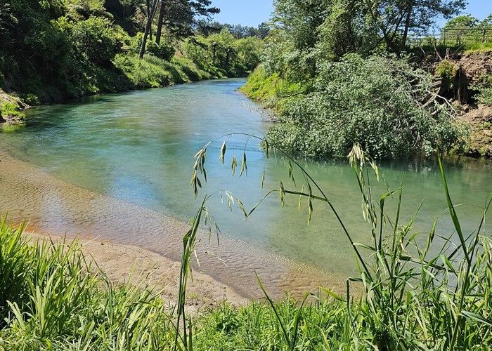  at 126B Casuarina Drive, Rangiuru