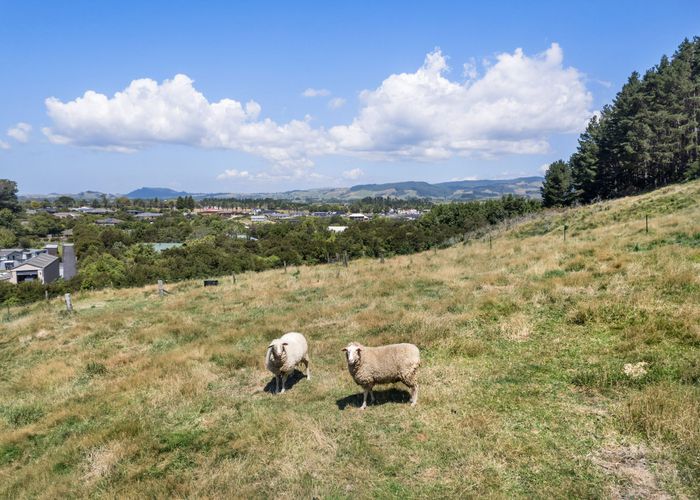  at 36A Orchard Road, Waihi, Hauraki, Waikato