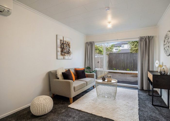  at 20 Springleigh Ave, Mount Albert, Auckland City, Auckland