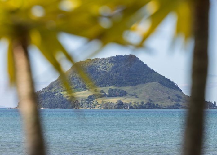  at 3/104 Harbour Drive, Otumoetai, Tauranga, Bay Of Plenty