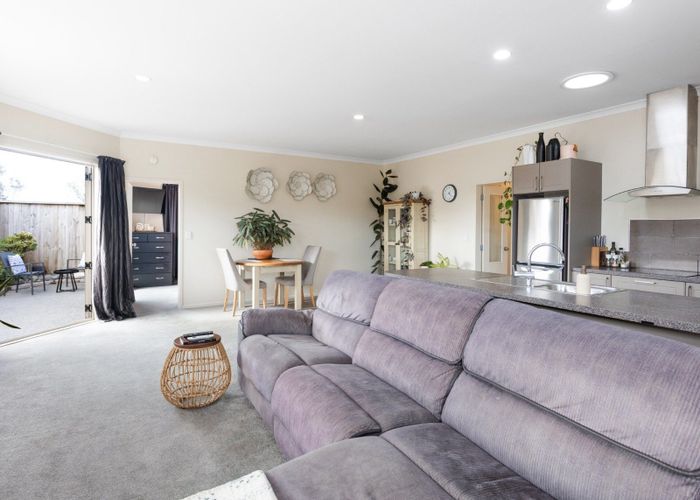  at 7B Harrow Place, Mount Maunganui, Tauranga, Bay Of Plenty