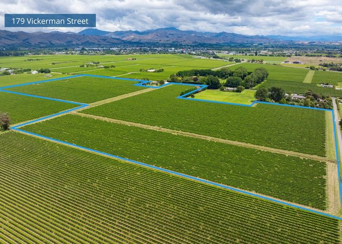  at 92 Lower Wairau Road, Grovetown, Marlborough, Marlborough