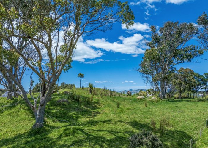  at 39 Happy Jacks Road, Mahia, Mahanga, Wairoa, Hawke's Bay