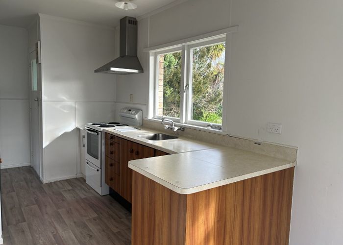  at 97 Nixon Street, Hamilton East, Hamilton