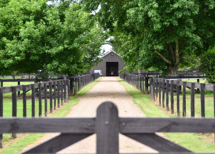  at 427 Bruntwood Road, Cambridge