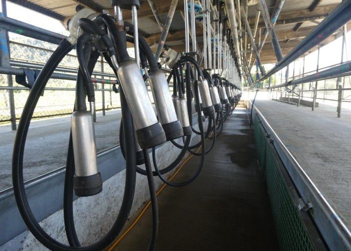 For sale 3061 State Highway 69, Inangahua, Buller, West Coast homes