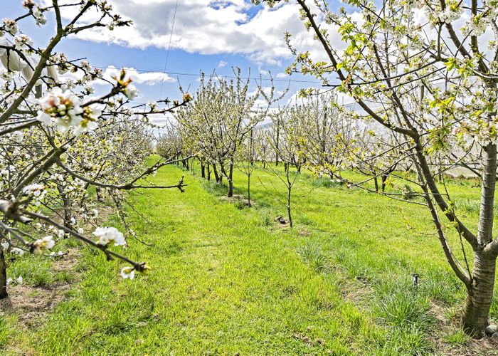  at 1520 Tram Road, Swannanoa, Rangiora