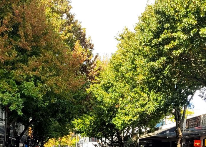  at 307/26 Remuera Road, Newmarket, Auckland City, Auckland
