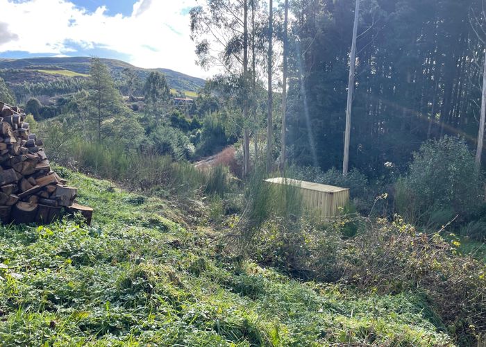  at 81 Poulters Road, Leith Valley, Dunedin