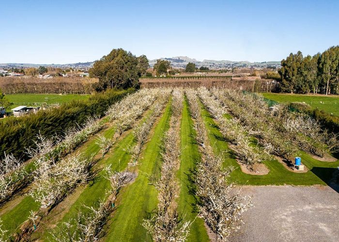  at 934 Riverslea Road South, Longlands, Hastings, Hawke's Bay