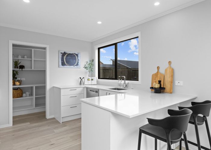  at 17 Guillaume Street, Chartwell, Hamilton