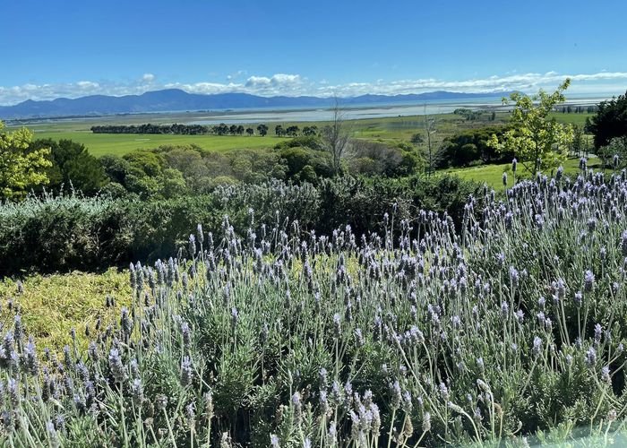  at 334 Redwood Pass Road, Redwood Pass